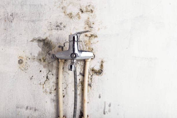 Mold Removal and Inspection in Highland Park, TX