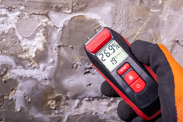 Best Mold Removal Process  in Highland Park, TX