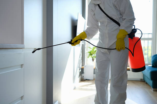 Professional Mold Removal in Highland Park, TX