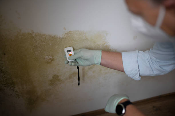 Best Home Mold Removal  in Highland Park, TX
