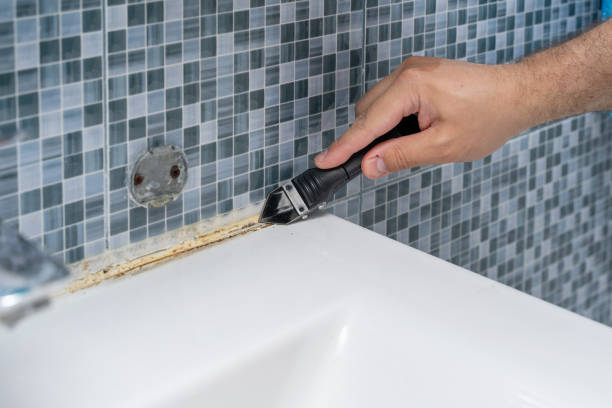 Best Mold Removal Company Near Me  in Highland Park, TX