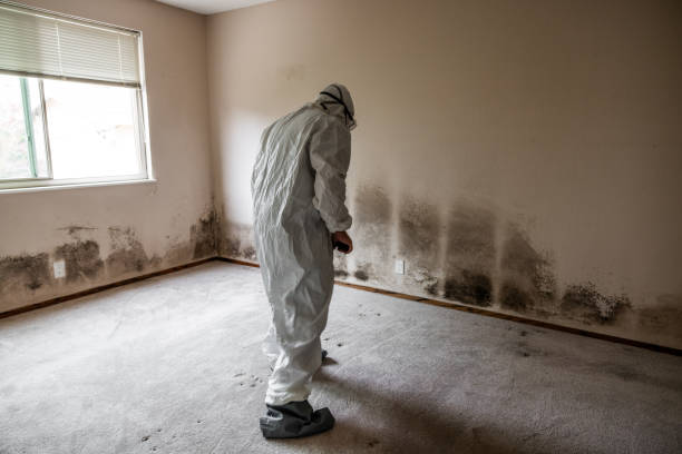 Best Mold Testing  in Highland Park, TX